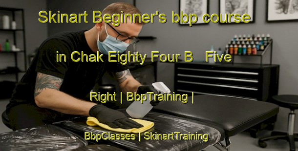Skinart Beginner's bbp course in Chak Eighty Four B   Five Right | BbpTraining | BbpClasses | SkinartTraining-Pakistan
